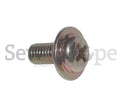 13S5X10 SCREWS FOR NEW LONG MOTOR (NEW STYLE)