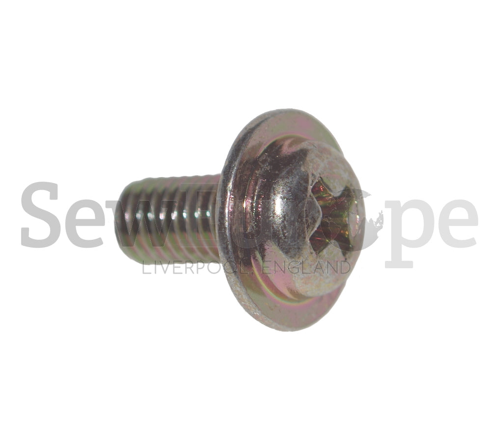 13S5X10 SCREWS FOR NEW LONG MOTOR (NEW STYLE)