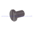 153208-001 PLATE SCREW