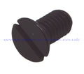 22524 NEEDLE PLATE SCREW