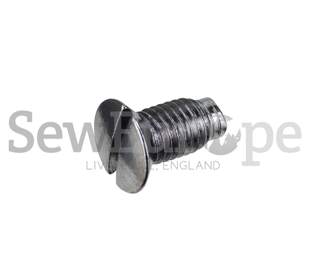 691 NEEDLE PLATE SCREW (100032-001)