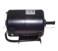 A900C38 MOTOR 110volt