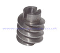 B31 WORM GEAR